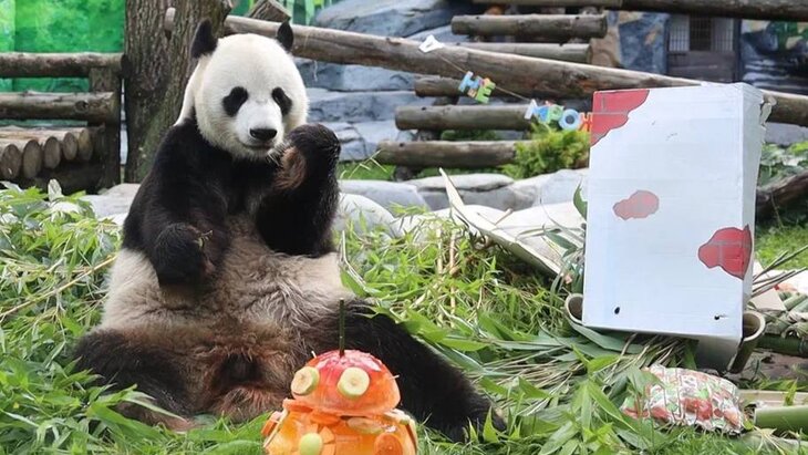 ��������� "������ ����" ������� � ���������� ��������