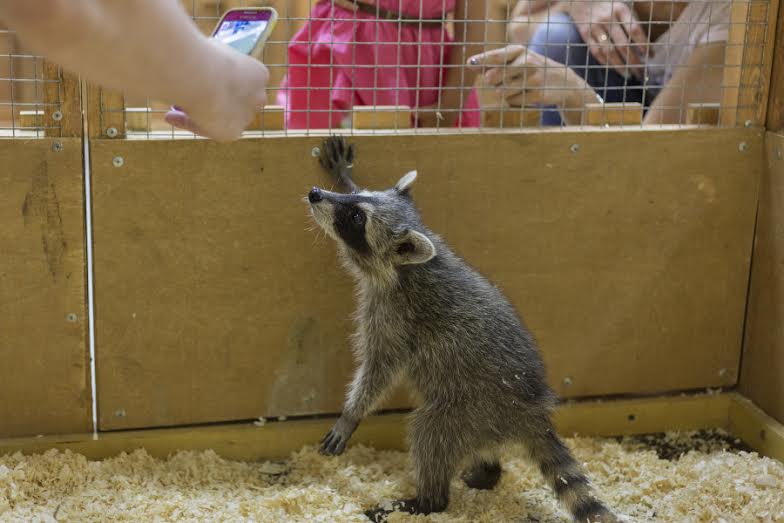 � ���������� ������� �� ������ ������ �������� ������ � �����