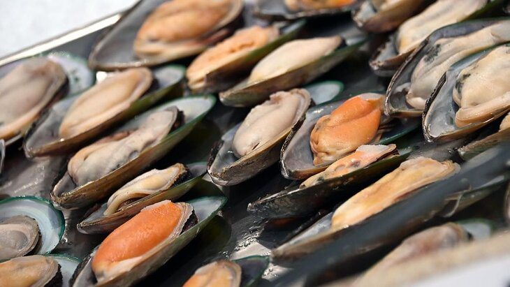 ������ �� ����� ����� ����������� �� ������ ������ "������ � �� �����" �� 8 �������