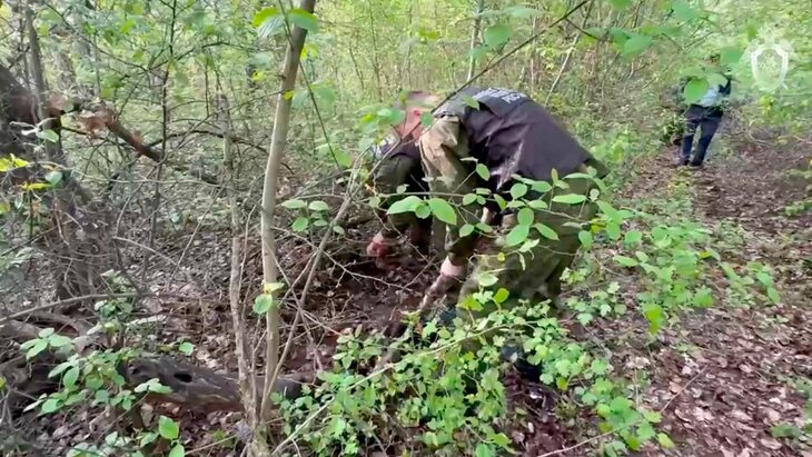 Убийство ребенка в лесу Краснодарского края произошло с согласия матери