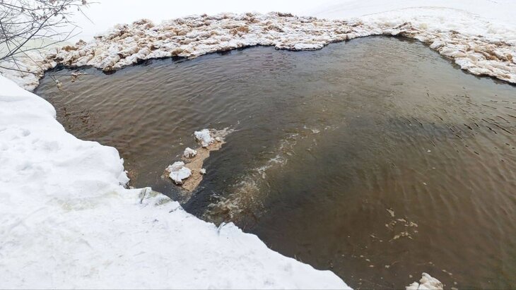 ����������� �������� ���������� � ����������� ���� � ���������� �������� ������