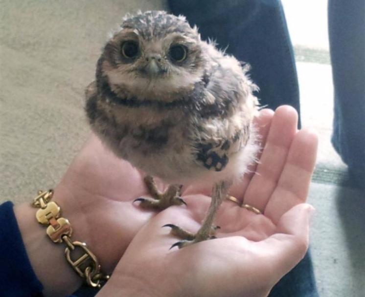 � ��� ������� ������ ���� �������� �� ������ �����