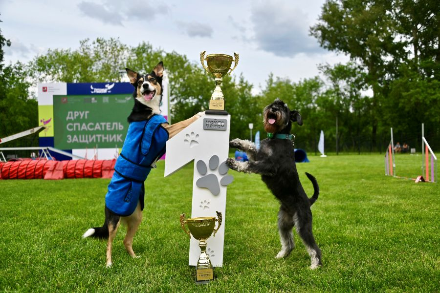 � ������� ���������� ��� ����� 100 �������� ������� �������� � ������