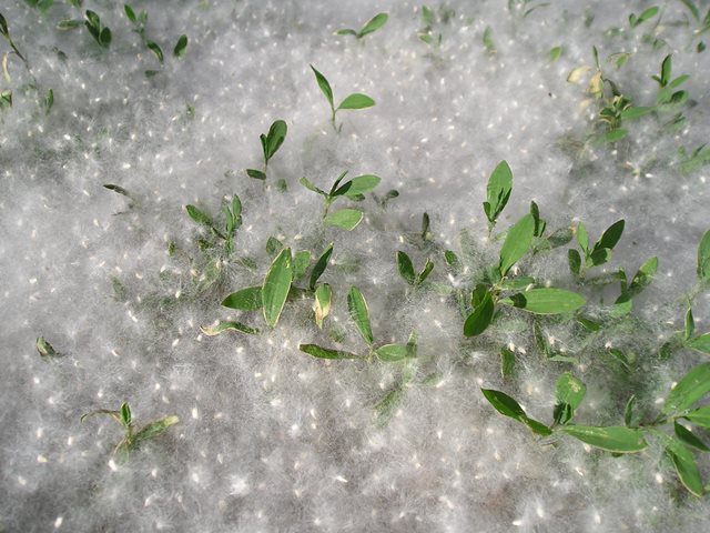 ������ ������� �� ���������� ����