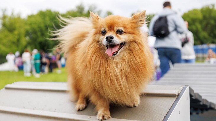 ���������� ���������� ��������� �� ����� �� ��������� �� ��������� "�����"