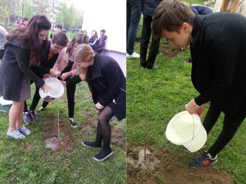 � �������� �1590 ������ ������� ���������� ����� ������� �������