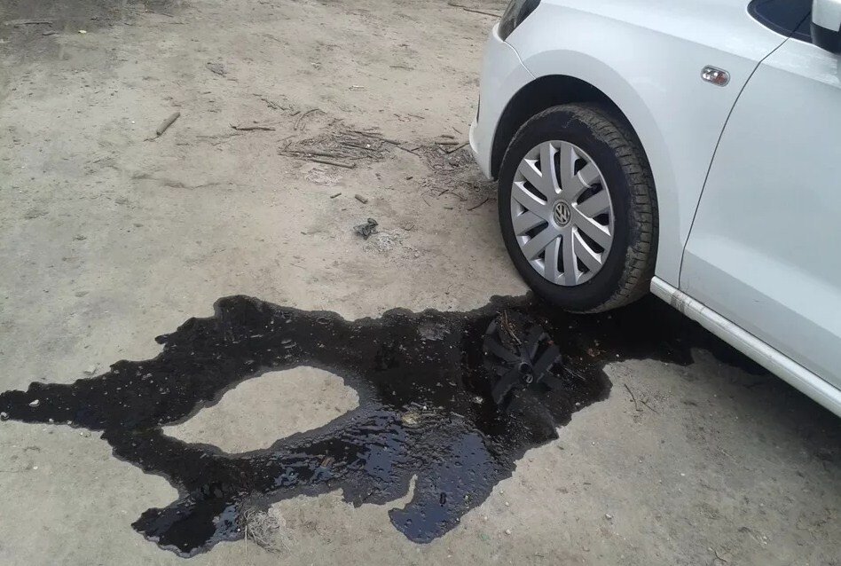 ����� ��� �������: ����� ����� ���� �������