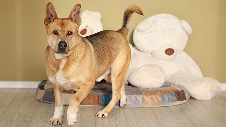 �������� �� ��������� ������� ��������� �� ����������� ��������� � 8 �����