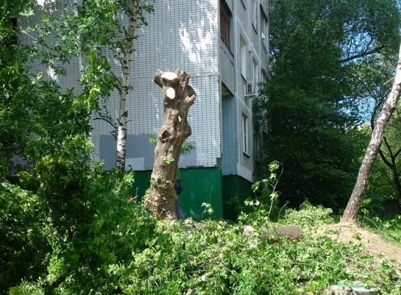 � ������ ������� ������� ��������� �������