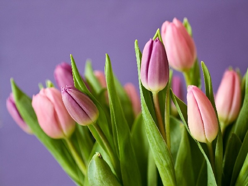 � 8 ����� ������ ����������� ���� � ����������