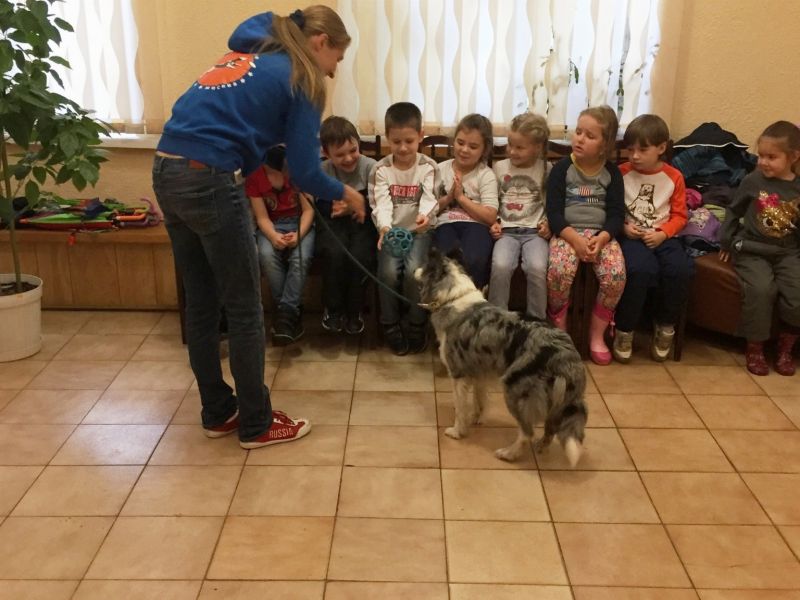 � ������ ������� ������ ����������� ���������, ����� � ������ ����