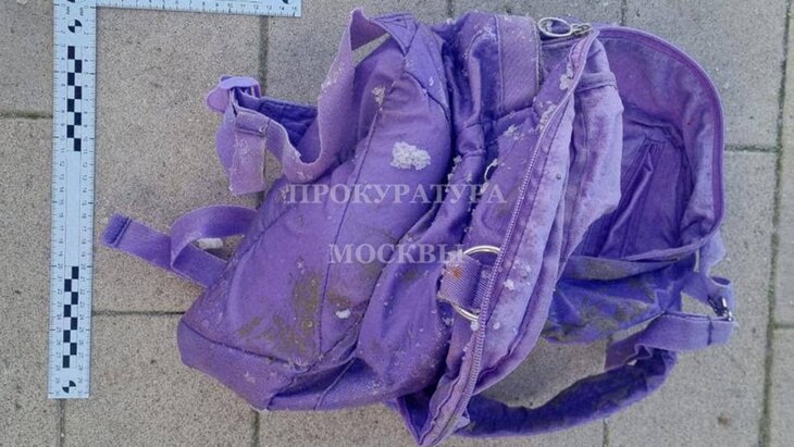 В Подмосковье возбудили уголовное дело по факту убийства ребенка