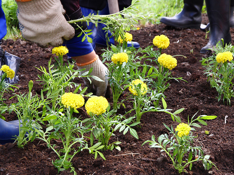 �� ����� ��������� ������ ������� �������� �����