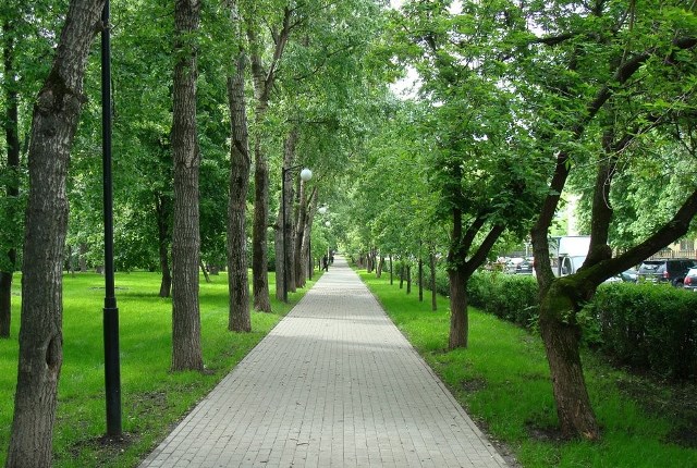 �������� ����� ������� ����� �� ����� �������