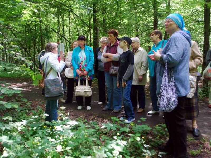 ���������� ��� ���� �������� �������� �� �������������  ��������� � ��������� �����������