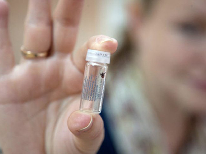 � 5 �� 11 ������� �� ������ ������ � ������ ���������� ����� 580 �������