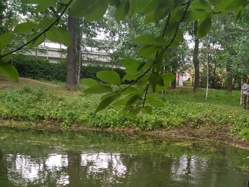 � ����� ������ ������� �������� ����