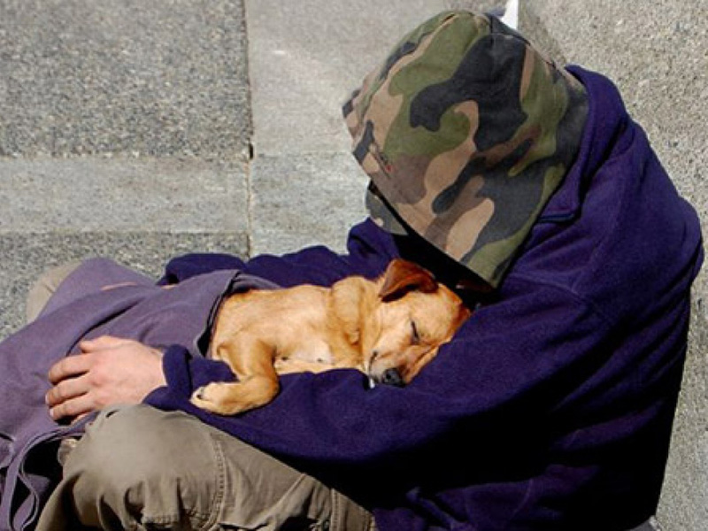 ����� �� ������ ��������� �������� � ������