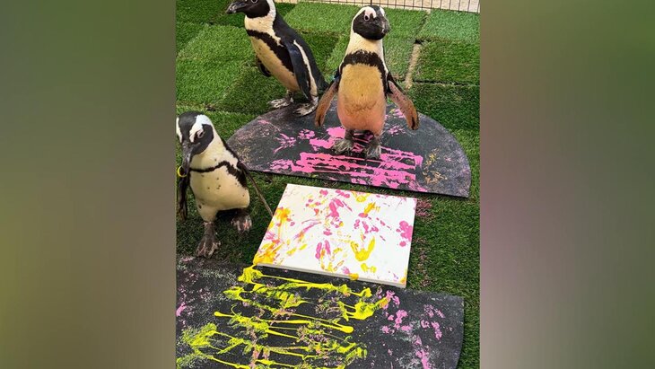 � ��� ������� ������� ������������ ���������� �������