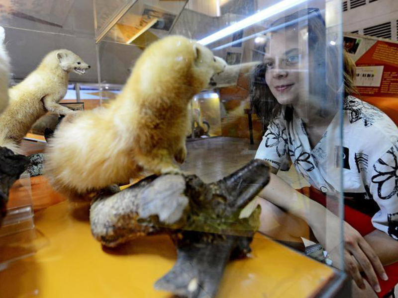 ������� ������ ������� ���������� �� �������� ������� �������� � ������� �����