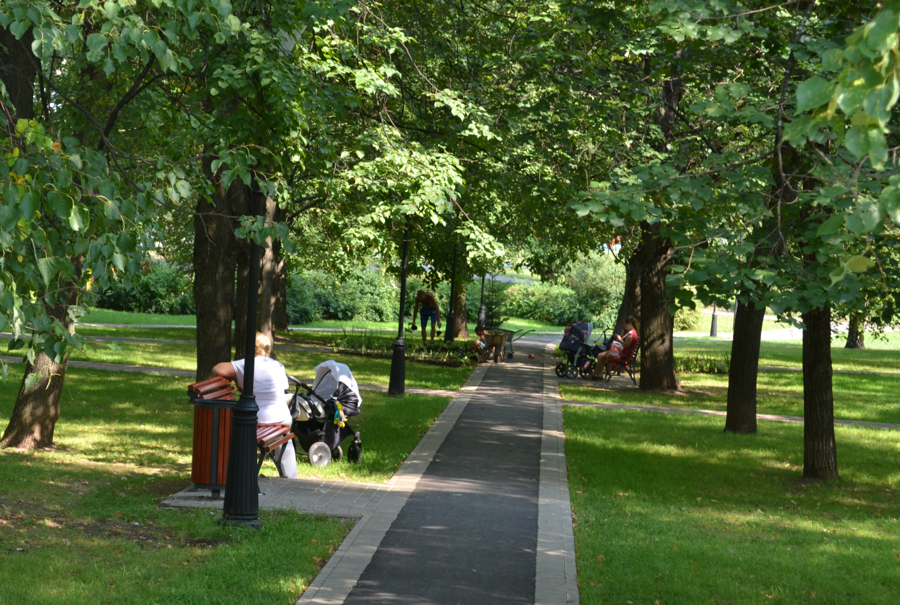 � ���� ���� � ������ ������� ����������� �������� ��������� �����