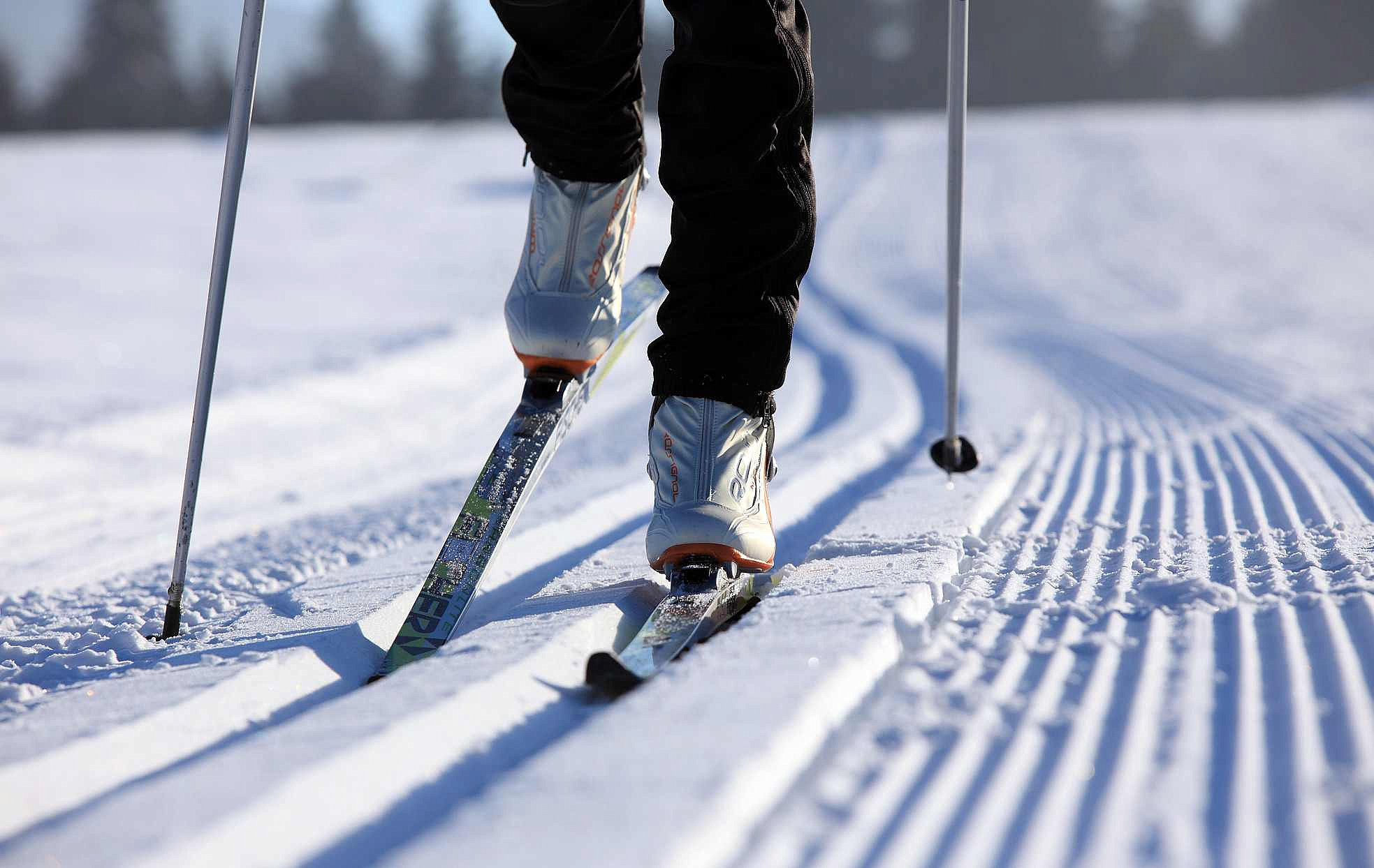 Лыжные трассы будут работать в парках ЗАО