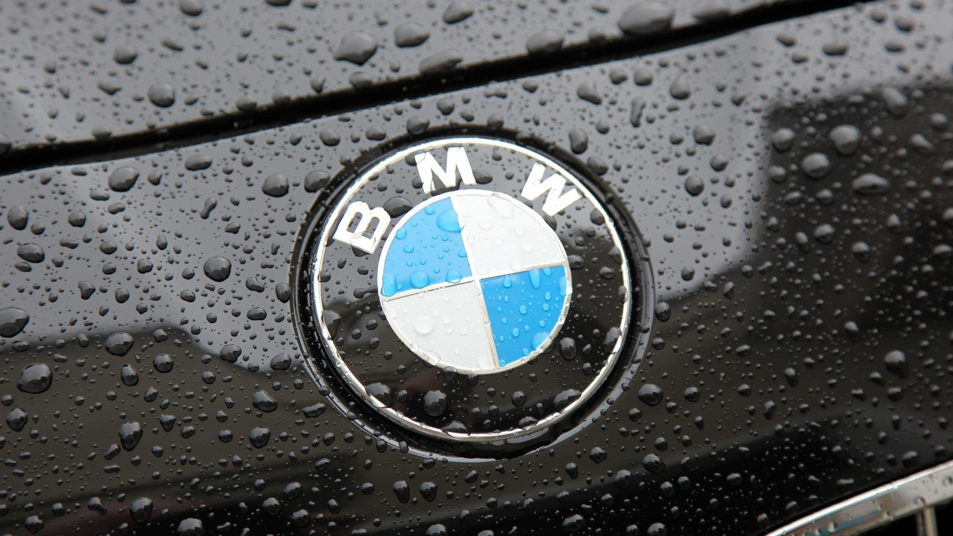 BMW   -  